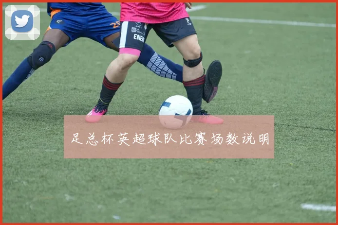 足总杯英超球队比赛场数说明