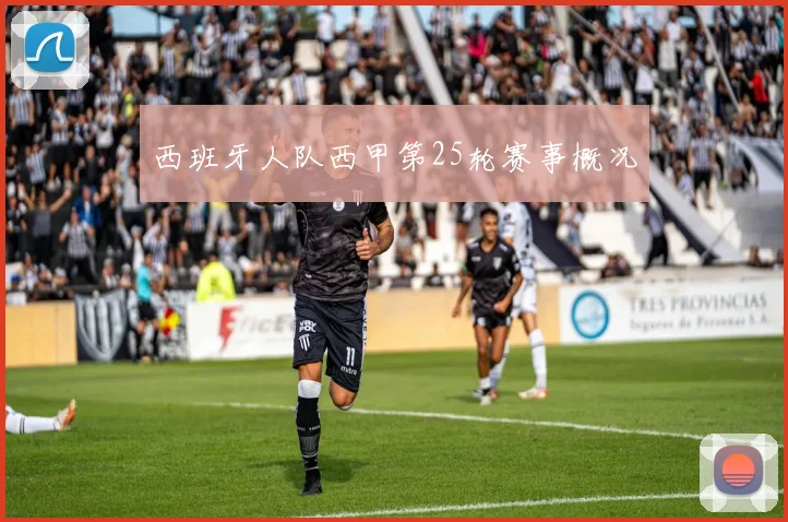 西班牙人队西甲第25轮赛事概况
